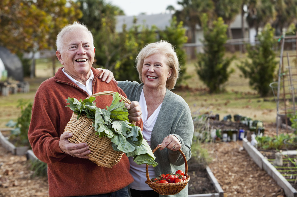 Nicolet College Learning In Retirement Set To Launch New Season Of ...