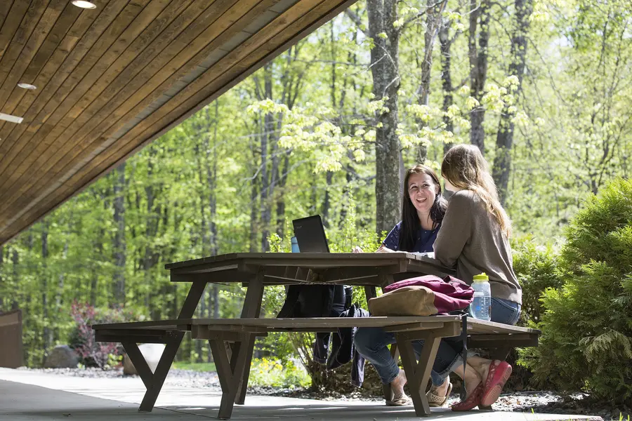 Two students studying and chatting at a picnic table, surrounded by trees.